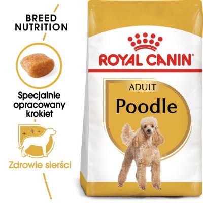 ROYAL CANIN Poodle Adult karma sucha dla psów dorosłych rasy pudel miniaturowy