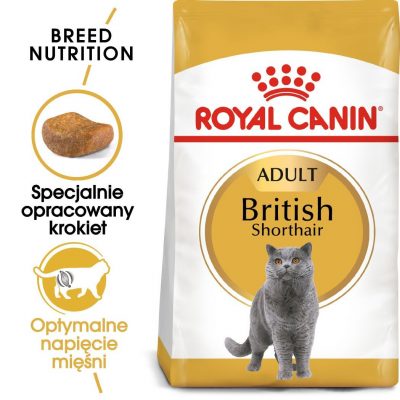 ROYAL CANIN British Shorthair karma mokra w sosie dla kotów dorosłych rasy brytyjski krótkowłosy