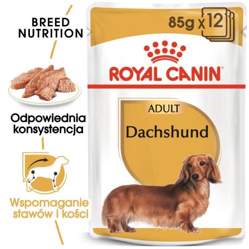 ROYAL CANIN Dachshund karma sucha - pasztet, dla psów dorosłych rasy jamnik