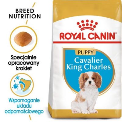 ROYAL CANIN Cavalier King Charles Spaniel Puppy karma sucha dla szczeniąt do 10 miesiąca, rasy cavalier king charles spaniel