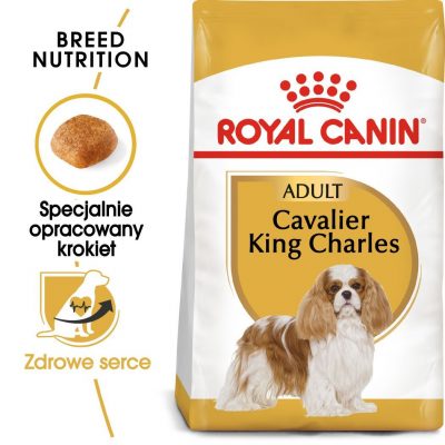ROYAL CANIN Cavalier King Charles Spaniel Adult karma sucha dla psów dorosłych rasy cavalier king charles spaniel